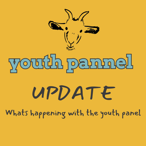 Youth panel update: